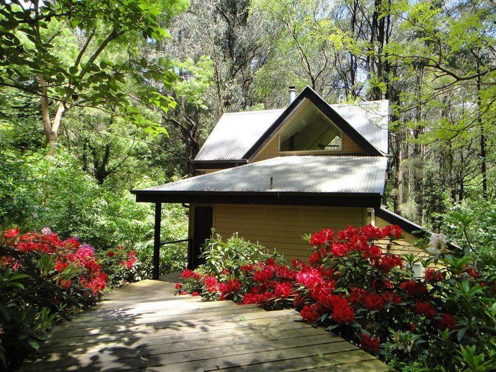 Lochiel Luxury Accommodation Olinda Exterior photo