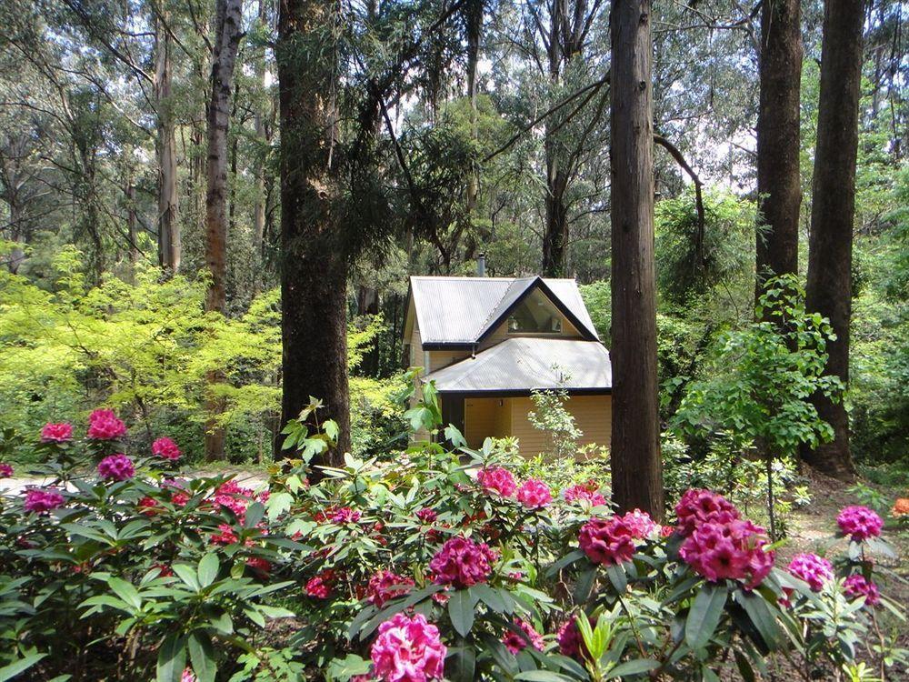 Lochiel Luxury Accommodation Olinda Exterior photo
