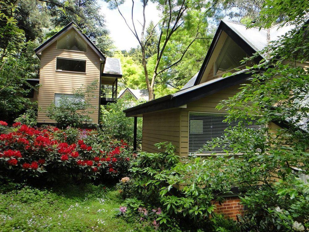 Lochiel Luxury Accommodation Olinda Exterior photo