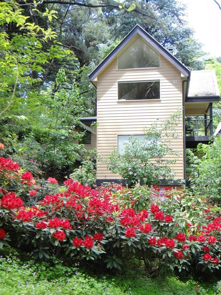 Lochiel Luxury Accommodation Olinda Exterior photo