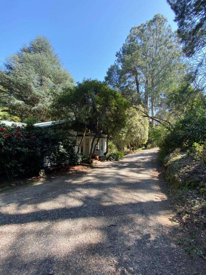 Lochiel Luxury Accommodation Olinda Exterior photo
