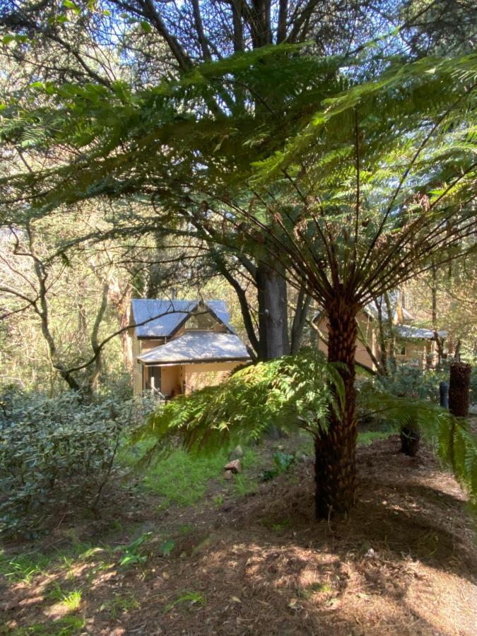 Lochiel Luxury Accommodation Olinda Exterior photo