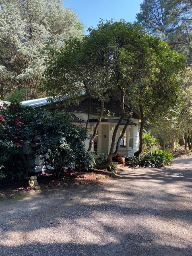 Lochiel Luxury Accommodation Olinda Exterior photo