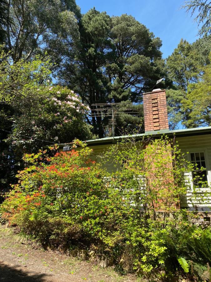 Lochiel Luxury Accommodation Olinda Exterior photo